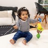 Baby Einstein Cal-a-Puller Pull & Shake Stroller Toy, Ages 0