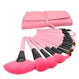 DMZK Professional Makeup Brushes, 24-Piece Set Cosmetic Brushes Face Brush with Bag (Pink)