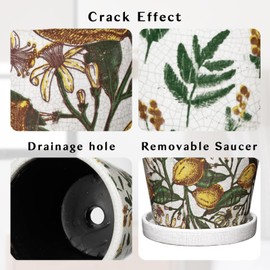 5.5 Inch Decorative Plant Pots, Round Ceramic Planters for Indoor Plants Pots with Drainage Hole Saucers, Lemon Green Leaves Ceramic Flower Pots Retro Planter Pot for Succulents Cactus Outdoor Garden
