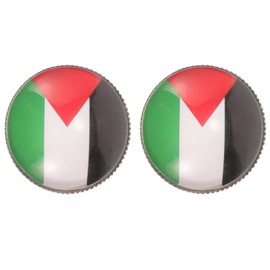 Insignia De Pin De De Palestina 2 Uds. Pin De De País Broche De Viaje Internacional Pin De Recuerdo De Aleación De Zinc Para Sombrero Ropa Mochila