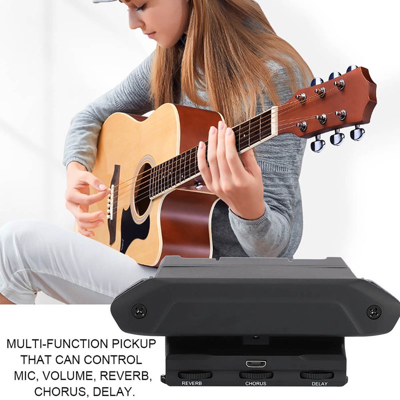 Flanger FR2 Resonance Pickup Guitar Pickup for Acoustic Guitar Multi