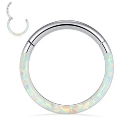 AROWRO G23 Titanium Nose Rings Hoop 18G 16G 14G Seamless Piercing Rings for Nose Septum Cartilage Helix Tragus Conch Rook Daith Lobe Diameter 6/8/10/12 mm