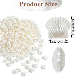 Piriuuo 200 Pcs Pearl Shell Beads, Small Shell Beads for Jewelry Making Cute White Seashell Beads Plastic Shells for Jewelry Making Crafts 12mm