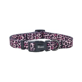 Olahibi Dog Collar Leash Set, Leopard Pattern, Polyester Material, 5ft Matching Leash, for Medium Dogs.(M, Colorful Leopard)