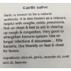 Rebecca’s Salves Amish Made Herbal Garlic Salve / Balm /