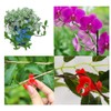 30 pcs Plant Bender,Low Pressure Training Plant Bender for Plant