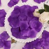 RuiChy 1000pcs Silk Artificial Rose Petals for Wedding, Purple