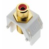 Legrand - OnQ Red RCA to F Connector, Standard RCA