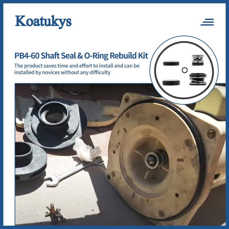 Koatukys PB4-60 Booster Pump Shaft Seal & O-ring Rebuild Kit