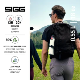 SIGG - Insulated Thermo Flask Hot & Cold ONE Light - With Fruit Filter - Leakproof - BPA-Free 18/8 Stainless Steel 19Oz