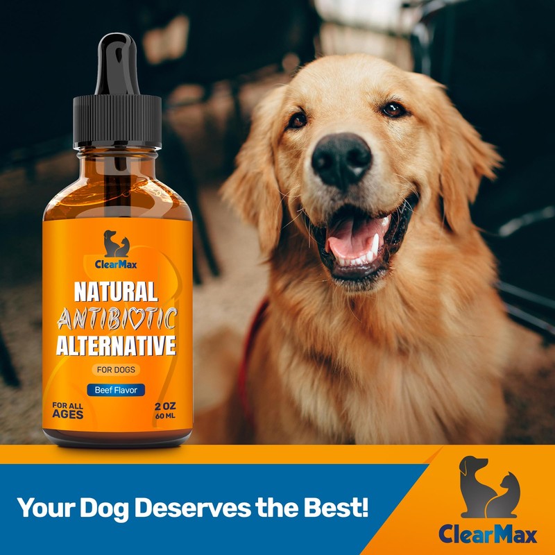 Natural Antibiotics for Dogs for Allergies, Infections, Coughs, Digestive Moments