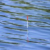 Hsthe Sea 20pcs Fishing Floats Waggler Floats 5 Sizes Clear