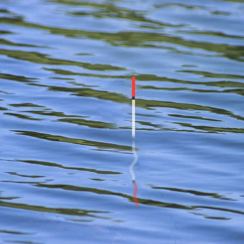 Hsthe Sea 20pcs Fishing Floats Waggler Floats 5 Sizes Clear