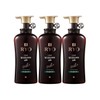 J&M Ryeo Jin Hair Loss Symptom Care Shampoo Scalp Cooling Care 490ml 3pcs / 려 진결모 탈 모증상케어 샴푸 두피쿨링케어 490ml 3개