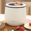 Mini Cooker Electric Pot with Lid Anti Stick Multifunctional Smart