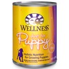 Wellness Complete Health Natural Wet Canned Puppy Food, Puppy Chicken & Salmon 12.5-Ounce Can (Pack of 12)