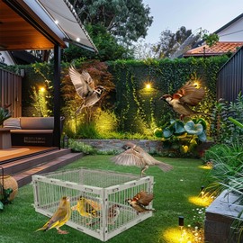 Universal Sparrow Trap Cage – Birds Trap Cage with Escape-Proof Design, One Way Bird Catcher Traps for Starlings, Quail, Cardinals and So On,Made from Rust-Resistant Metal for Long-Lasting Use