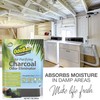 OdoBan Air Purifying Charcoal Natural Odor Eliminator, Non-Toxic Formula, Made