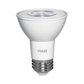 RAB Lighting PAR20-7-940-40D-DIM Outdoor, Image