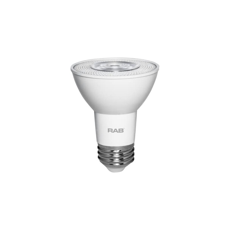 RAB Lighting PAR20-7-940-40D-DIM Outdoor, Image