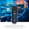 Marantz Professional MPM1000U - Micrófono Condensador USB para PC, Micrófono