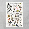 Where's Wildlife Backyard Birds of Georgia Bird Identification Poster (8"
