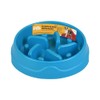 Fancy Pets Plato PLASTICO ALIMENTACION Lenta