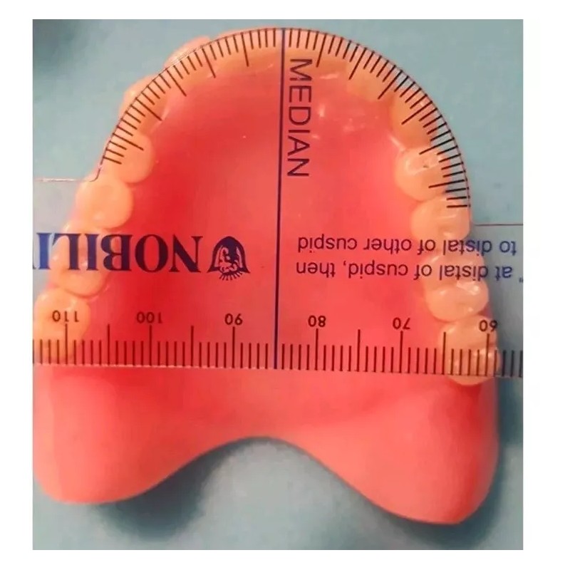 Nobilium Lot 3 Flexible, Clear Median Denture Ruler Trubyte Dental