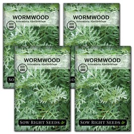 Sow Right Seeds - Wormwood Seeds for Planting - Non-GMO Heirloom Packet with Instructions to Plant & Grow an Outdoor or Indoor Herb Garden - Sagewort Repels Mosquitoes - Medicinal Worm Wood Herb (4)