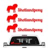 Shetland Pony Mini Horse Sticker Set of 3 Horse Riding