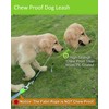 Chew Proof Retractable Dog Leash with 2 Heavy Duty Anti-Chewing