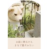 Kishima KH-61246 Gardening, Entryway, Object, Miscellaneous Goods, Wall Hook, Decoration,