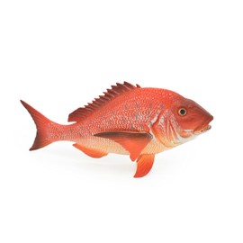 Red Snapper, Fish, Onaga, Rockfish, Very Realistic Rubber Figure, Model, Educational, Animal, Hand Painted Figurines, 7" CH036 BB75