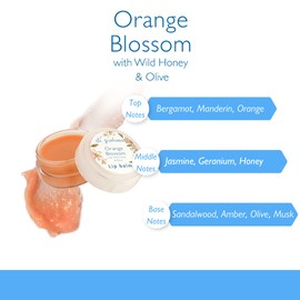 Di Palomo Orange Blossom & Honey Lip Balm 10ml. Lip Moisturiser with Lip Tint. Lip Skin Care Lip Mask & Lip Treatment. Moisturising Ingredients For Extremely Dry, Cracked Lips. Scented Lip Balm.