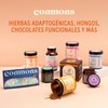 Commons Hongos Adaptógenos - Hongo Cordyceps - Extracto Puro en