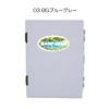 Ringstar Dream Master Area DMA-1500SS Basic Gear Limited Color RINGSTAR