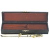 Gewa Miniature Instruments with case