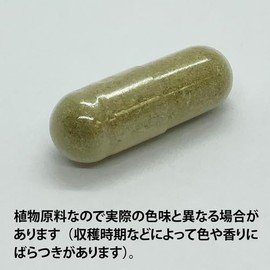 ECLECTIC ec121 St. John's Wort Eco Pack, 10.1 oz (300 mg) x 45 Capsules
