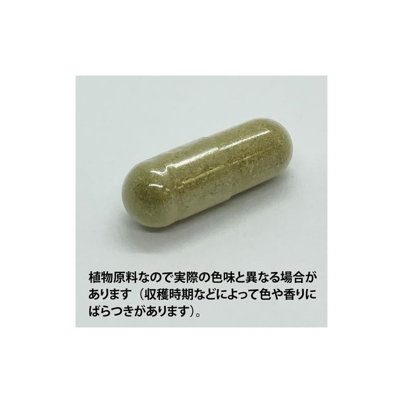 ECLECTIC ec121 St. John's Wort Eco Pack, 10.1 oz (300