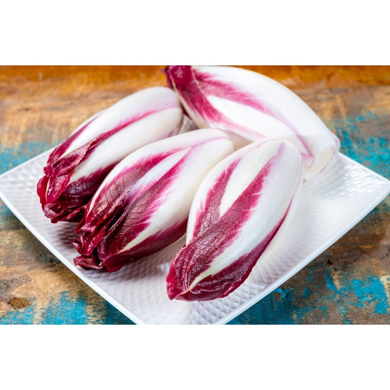 Endive, Red Treviso - Lettuce Seeds (Chicory) - Heirloom