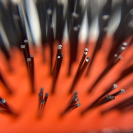 Phillips Brush # 21 Professional Hair Brush with nylon bristles