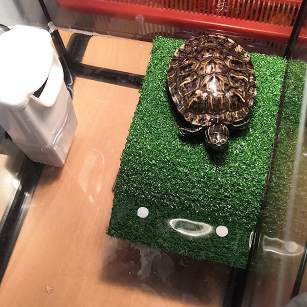 HIERYAN Turtle Basking Platform, Tortoise Ramp Reptile Tank Ladder Resting