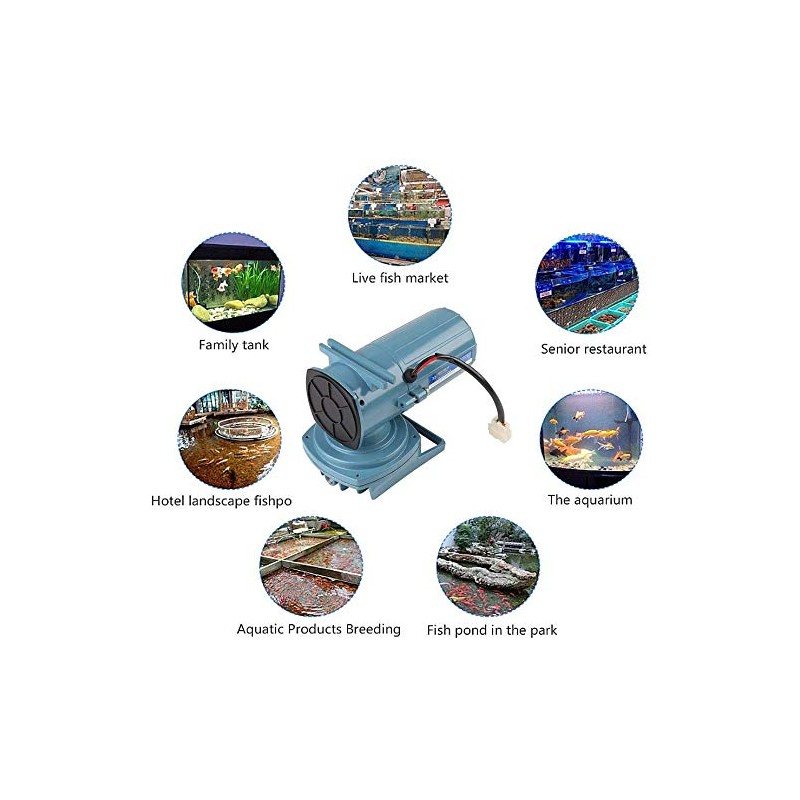 DC 12V Aquarium Air Pump 35W Aerator Pump for Fish