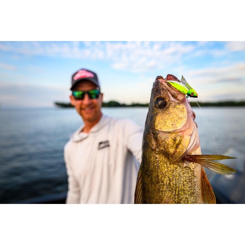 Berkley Gulp! Minnow,Fire Tiger,4-Inch