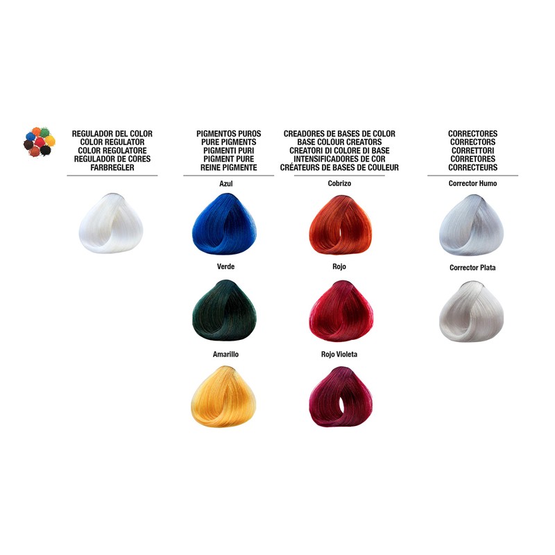 Tahe Lumière Express - Ink Pigment Puro Creator of Databases,