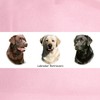 CafePress Labrador Retrievers Cap Unique Adjustable Baseball Hat Pink