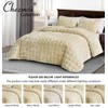Chezmoi Collection Piers Beige Velvet Quilt Oversized King Set, 3-Piece