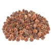 NaDeco Pinus Mugo Pine Cones Approx. 3-5 cm 0.5 kg