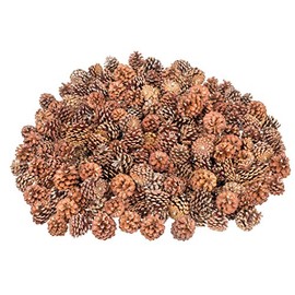 NaDeco Pinus Mugo Pine Cones Approx. 3-5 cm 0.5 kg Pine Cones Pine Cones Natural Pine Cones Christmas Decoration Advent Decoration