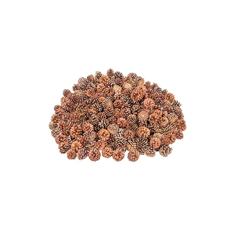 NaDeco Pinus Mugo Pine Cones Approx. 3-5 cm 0.5 kg